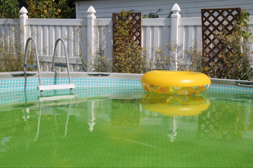Got Yellow Algae in Your Pool? Here's Why